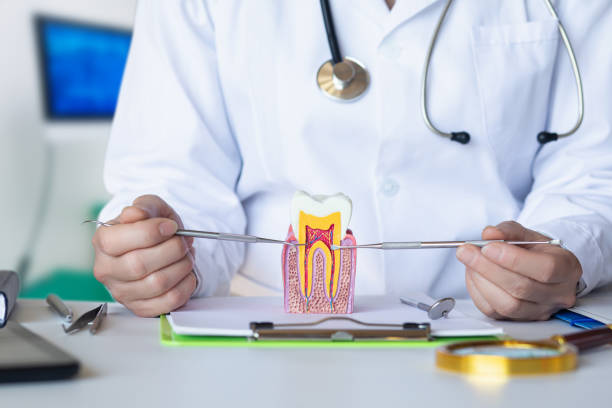 Best Emergency Gum Treatment in Mckeesport, PA